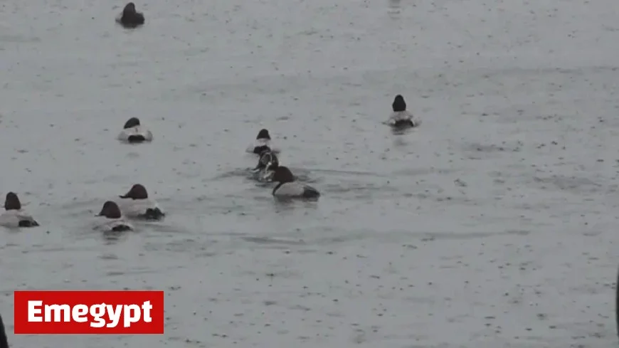 Weekend Rainfall Expected; Significant Temperature Swings Without Cold Snap on Test Day