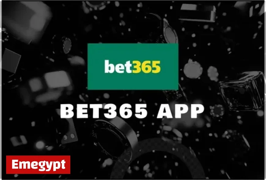 Comprehensive 2025 Guide to Installing and Reviewing the bet365 App