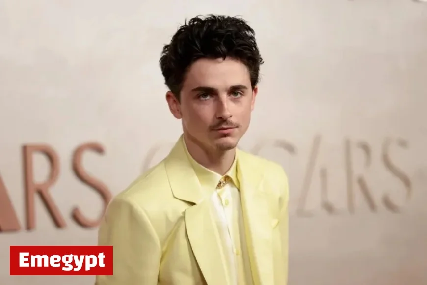 First-Time Grammy Nominees: Timothée Chalamet, Steven Spielberg, and a Supreme Court Justice in the Mix