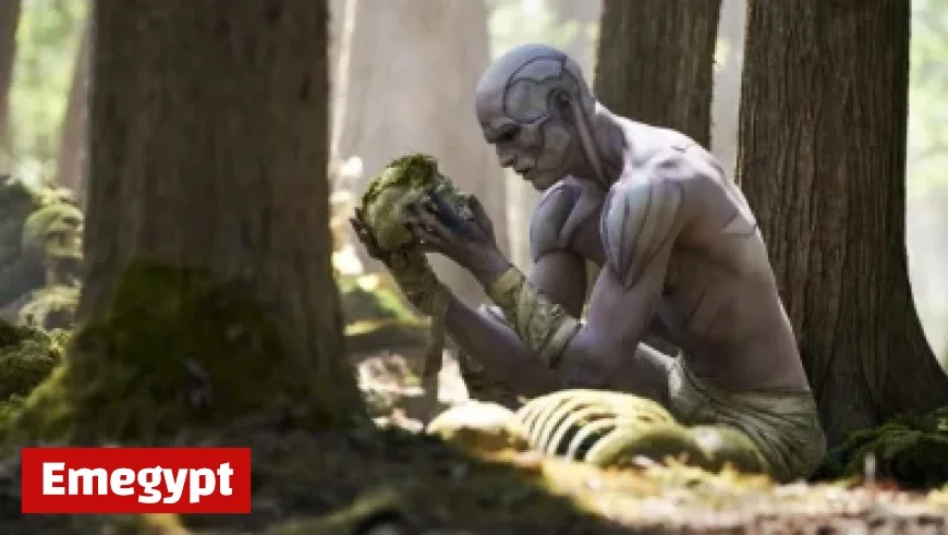 Kilkenny Welcomes Film Crew for RTE’s Highly Anticipated Late Late Toy Show