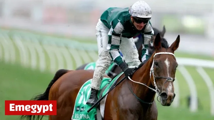 Star’s Secret to Keeping Waller Calm Before Via Sistina’s Triumph: ‘I’ll Ride Her Like Winx’