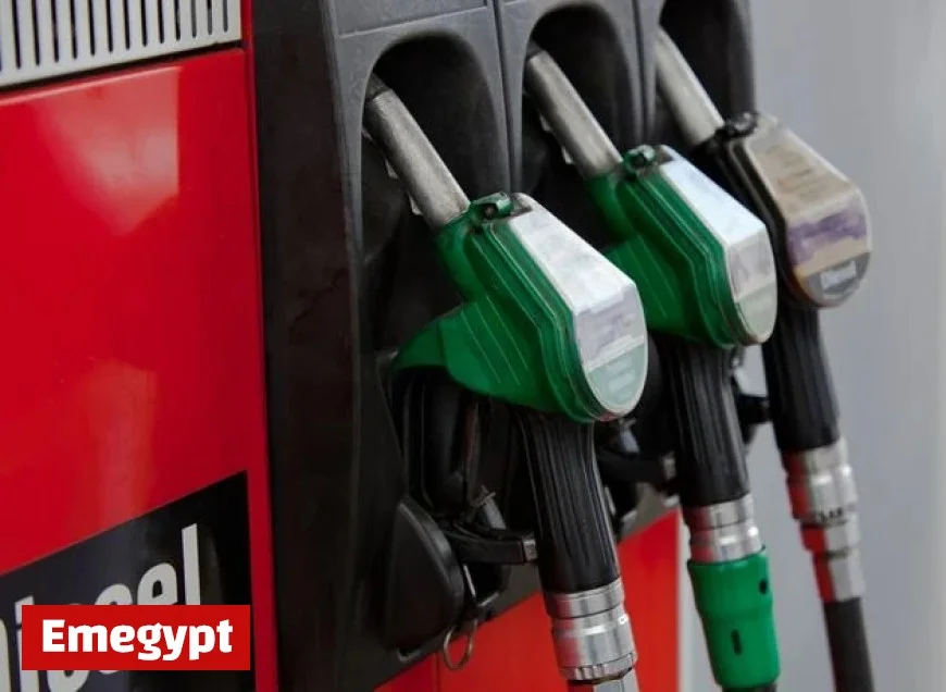 Council Supervisor’s Dismissal for Diesel Theft Confirmed by Tribunal