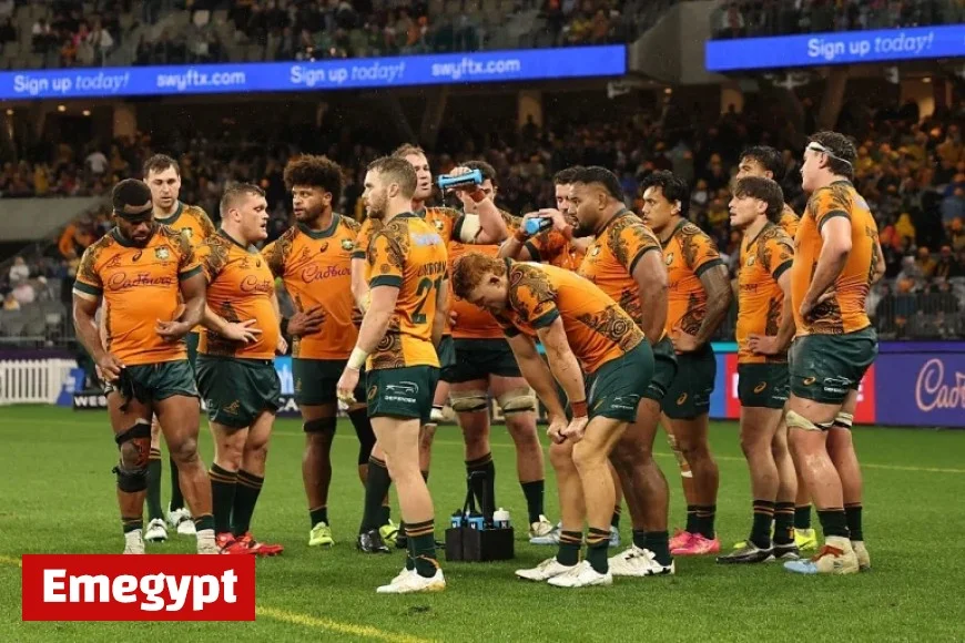 Are the Wallabies Experiencing a Resurgence or Facing Challenges?