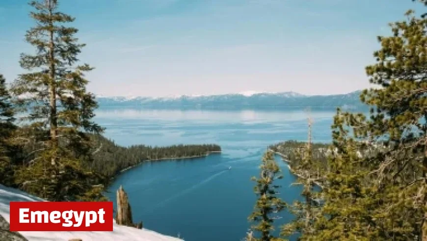 Sol Zanetti Takes Over from Gabriel Nadeau-Dubois as QS Spokesperson