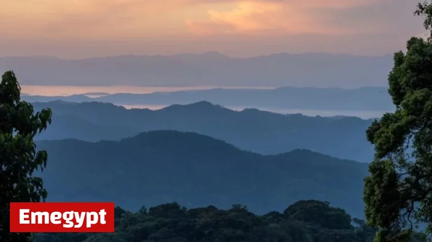 Martin Kemp Leads the Pack for ‘I’m A Celebrity’ 2025 Discover Contestants Odds and Show Dynamics