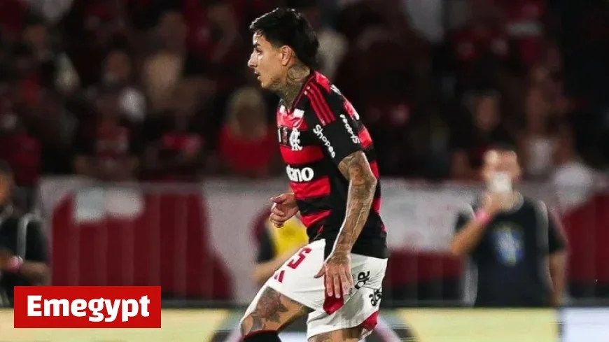 Flamengo Triumphs Over Santos in Thrilling Match Finale to Catch Up with Palmeiras