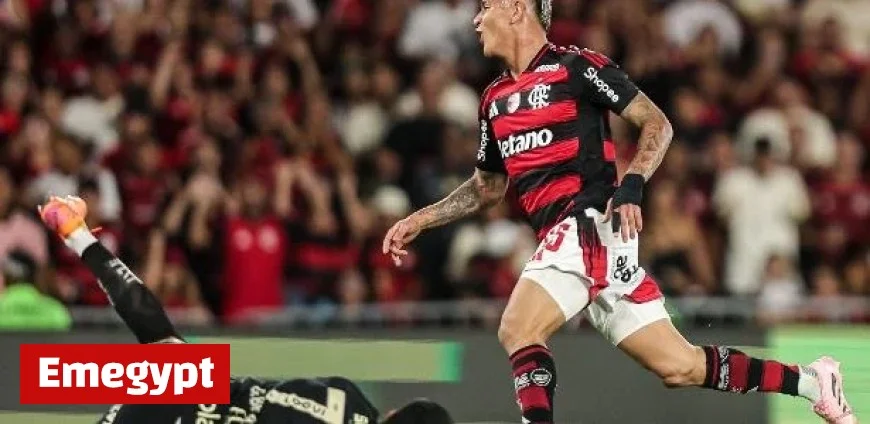 Thrilling Finish: Flamengo Edges Closer to Palmeiras and Sinks Santos Further into Relegation Zone