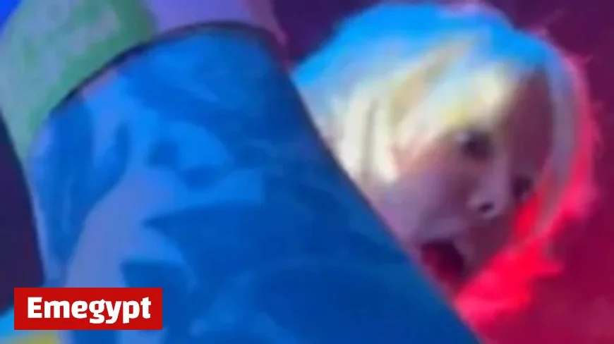 Fan Gropes Pop Star During Concert, Causing Uproar