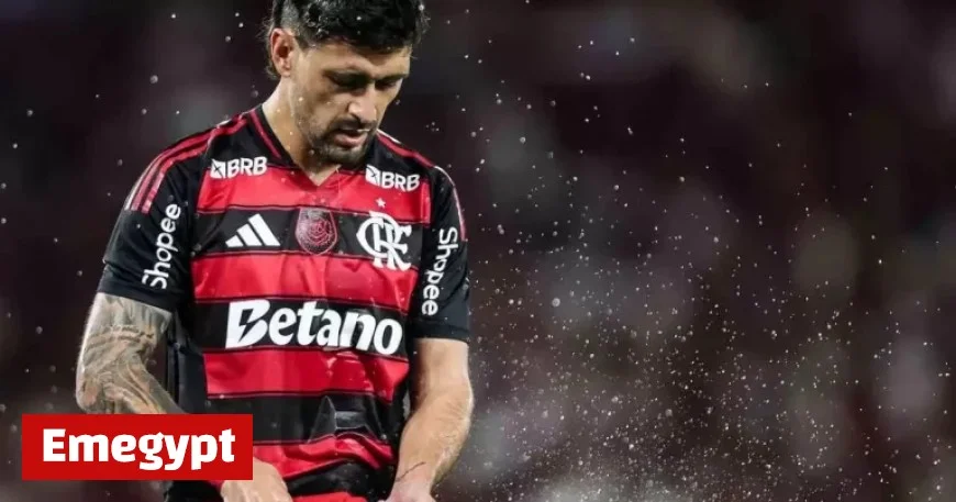 Roberto Assaf Flamengo Narrowly Avoids Setback to Secure Victory Over Santos