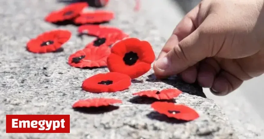 Top Judges Support Court Poppy Ban Amid Public Backlash