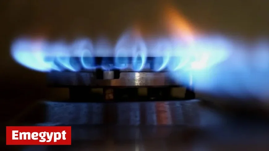 Over 15000 Customers Find New Provider Amid Energy Supplier Collapse