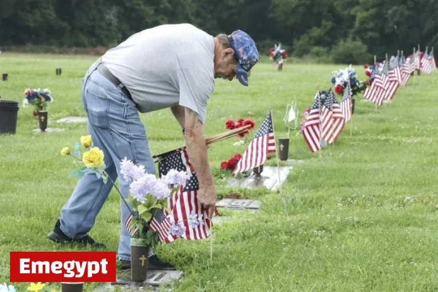 Veterans Day 2025: Discover Free Activities and Exclusive Benefits for Veterans