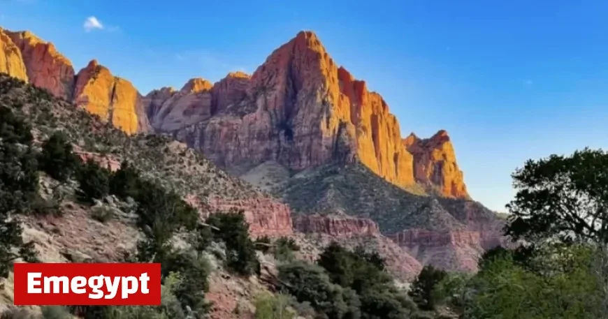 Explore the Stunning Beauty of Zion National Park Photowalks