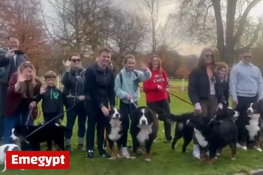 Bernese Mountain Dog Lovers Unite at Áras to Honor President Michael D Higgins