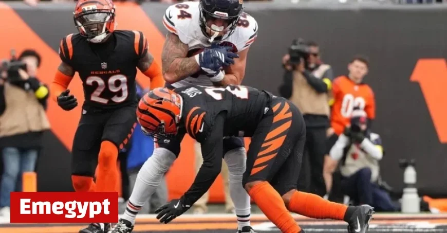 Bengals Earn Failing Grade on Midseason Report Card