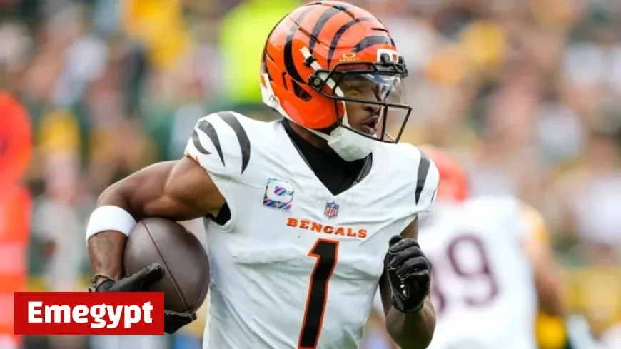 Cincinnati Bengals NFL Week 10 Schedule: Game Details and Bye Teams