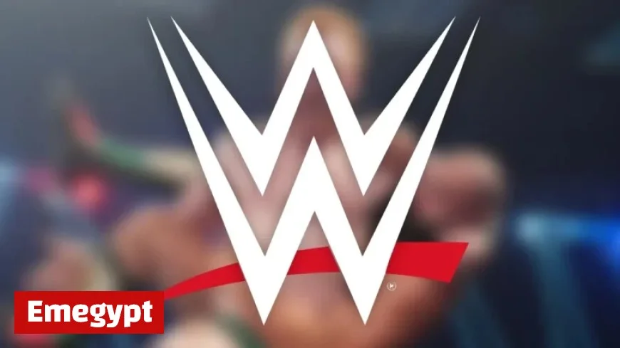 WWE Star, 47, Announces Key Condition for Retirement