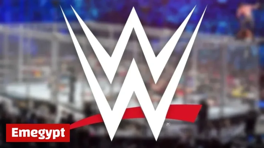 Top WWE Star Faces Possible Survivor Series Absence Due to Injury