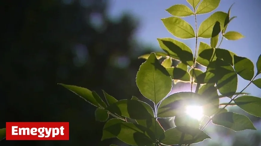 Southern California Welcomes Warm, Calm Weekend with Incoming High Pressure System