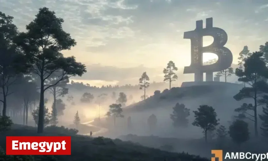 Bitcoin Sentiment Plunges to 20: Is a March-April Bottom on the Horizon?