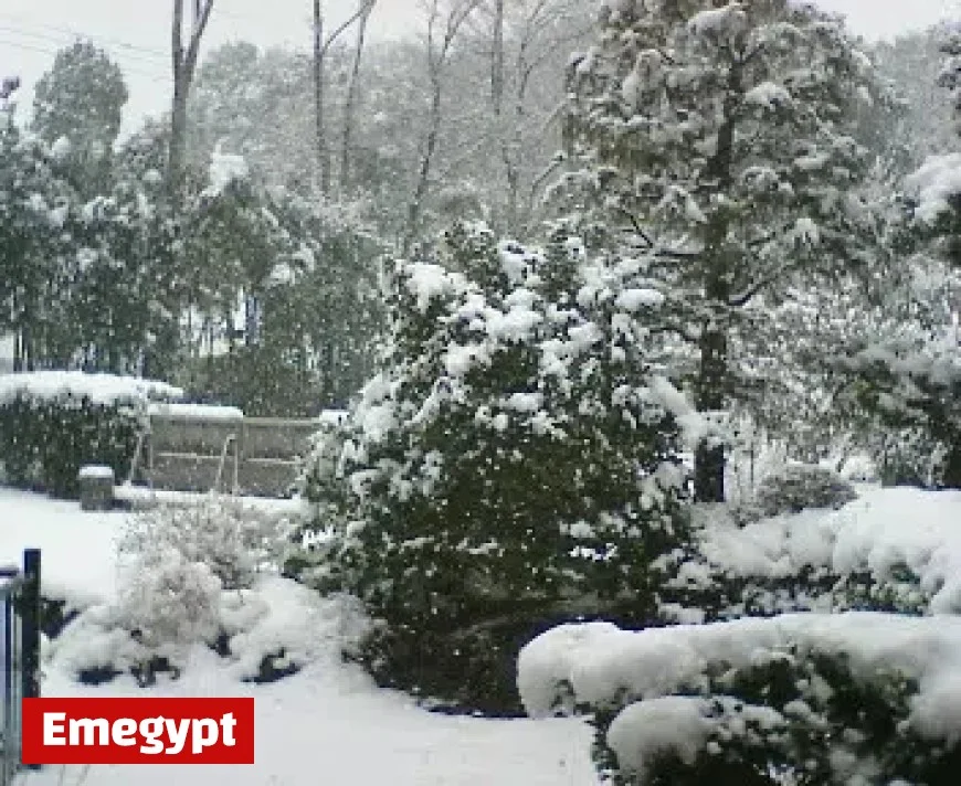 Unprecedented Snowfall Breaks Records Across the Region