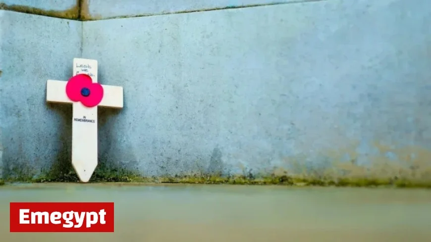 UK Observes Armistice Day with Nationwide Silence