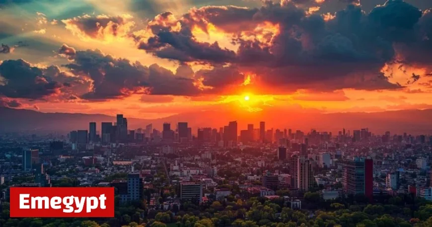 Dallas Weather Forecast for November 11