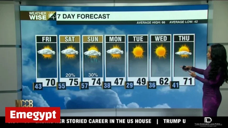 Diverse Fronts Shape Regional Dynamics