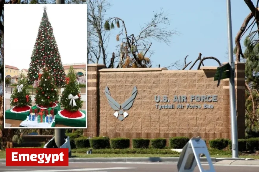 Grinch Management Orders Early Christmas Lights Removal at Florida Base