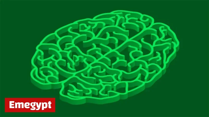 ADHD Drug Recall; Exploring Postpartum Psychosis and Schizophrenia-Antibiotic Link