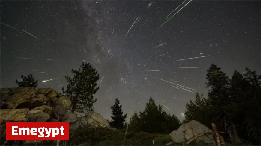 Witness November’s Meteor Showers: Expert Tips for Optimal Viewing