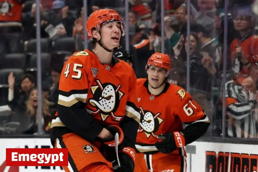 Anaheim Ducks Evolve into High-Scoring, Exciting Surprise Team