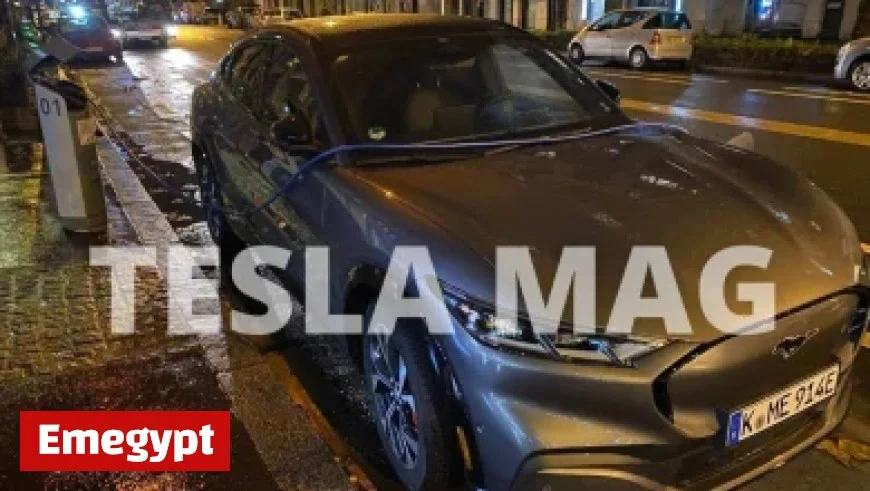 Successful Campaign Raises $29K for Student Involved in Dave Portnoy Harassment Case