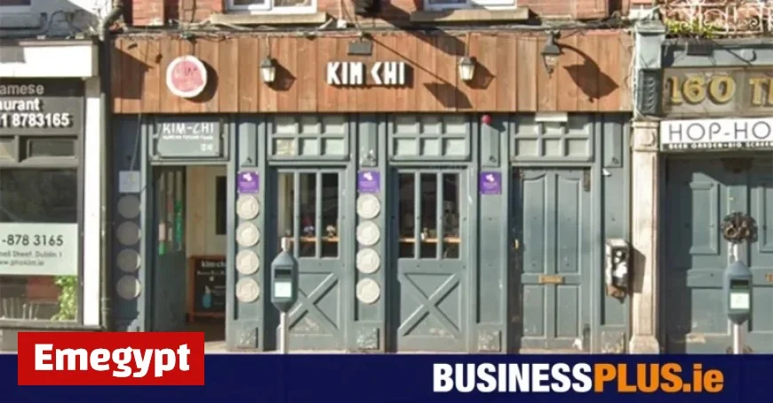 Dublin Restaurant Shuts Down After Dead Rat Found Beneath Dishwasher