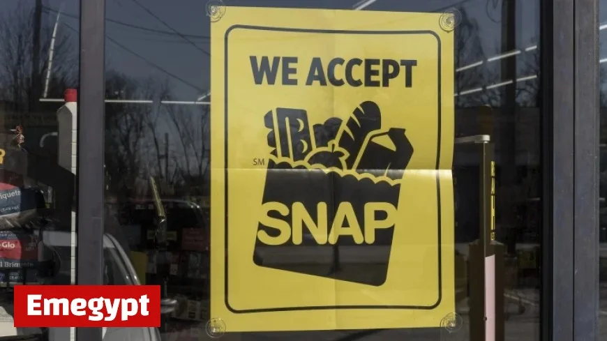 Discover the Little-Known SNAP Benefits Available to Low-Income Families