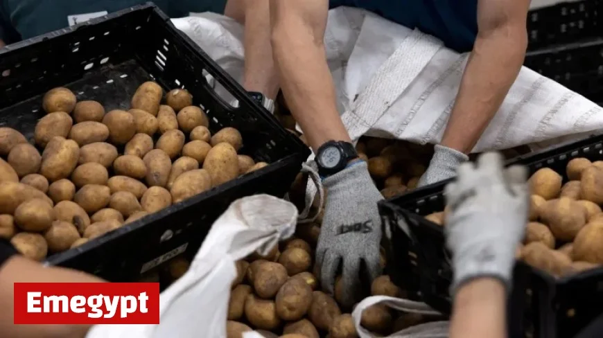 SNAP Recipients Express Feeling ‘Betrayed’ and ‘Judged’ as Government Shutdown Leads to Benefit Cuts