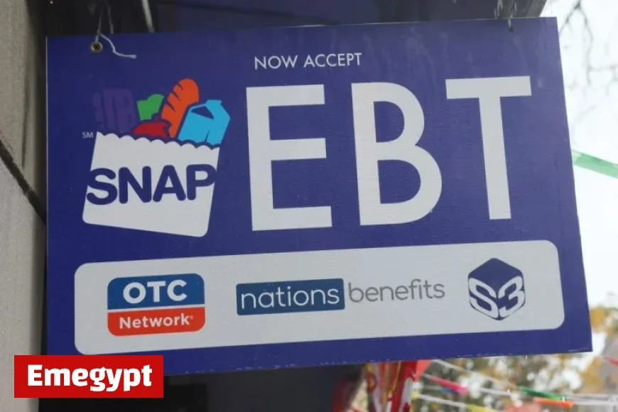 Alabama SNAP Recipients Brace for 35% Benefits Cut Amid DHR System Update