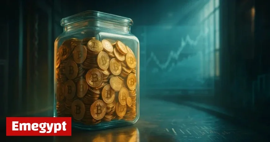 Unveiling The Great HODL: How Bitcoin’s Immobile Supply Influences Its Next Big Squeeze