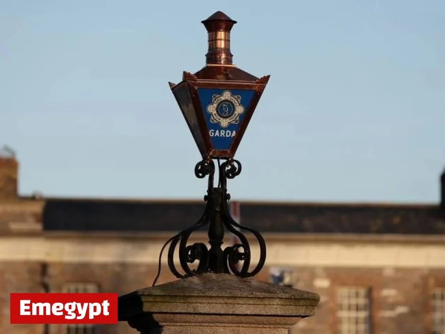 Sinn Féin Expels Member Following Partner’s Arrest in Far-Right Investigation