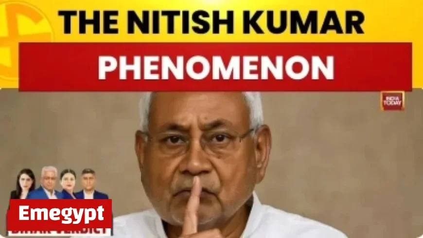 Irresistible Winter Coat for Just €60 Draws Crowds to Dunnes Stores