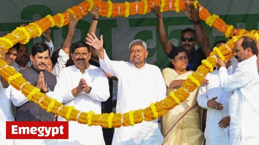 Discover the Hidden Wisdom of an Elderly Voter Behind NDAs Landslide Victory in Bihar