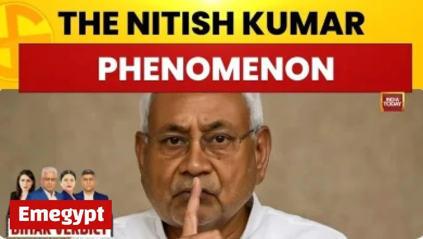 Electric Picnic Headliners Reveal Exciting 2026 Limerick Concert Plans