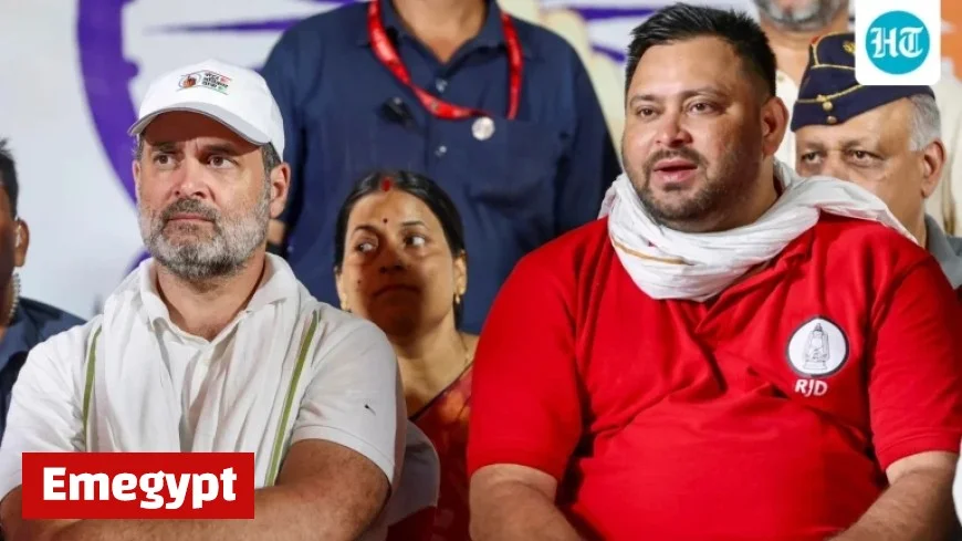 Mumtaz Patel Criticizes Congress After Bihar Mahagathbandhan Defeat