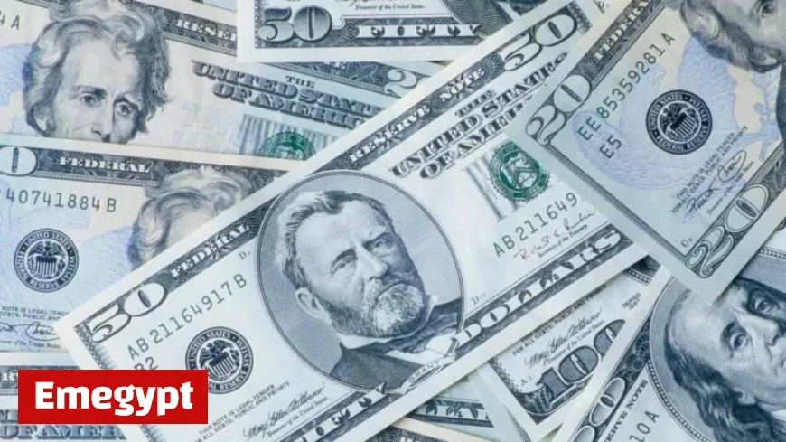 Persistent Michigan man wins big after playing lottery daily and hitting massive jackpot