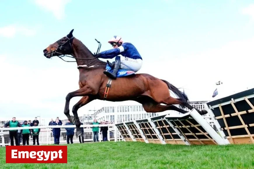 Exciting Weekend Racing Preview: Ian Donoghue’s Dunboyne Aims for Victory in Troytown to Continue Remarkable Comeback