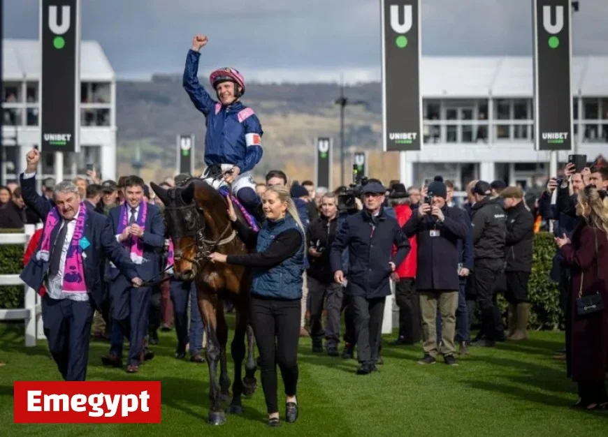 ‘See Arkle Favourite’s Stag-like Jumps as He Aims to Launch New Career at Navan’