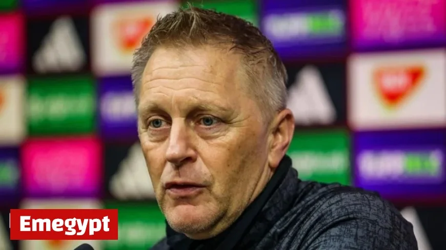 Hungary vs Republic of Ireland: Hallgrimsson Thrilled to Control Team’s Fate