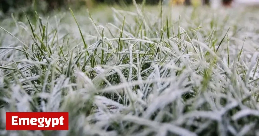 Ireland Snow Update: Ongoing Storm Claudia Clean-Up Efforts