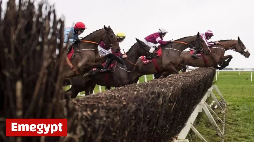 Navan’s Prestigious Troytown Chase Card Set to Proceed After Successful Inspection