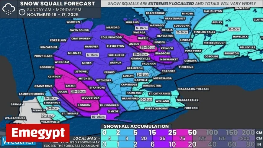 Major Snow Squalls Set to Hit London Barrie and Northern GTA This Sunday Expect 25 to 50cm of Snow
